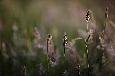 KK疯了！玩游戏就送KK专版特斯拉？   